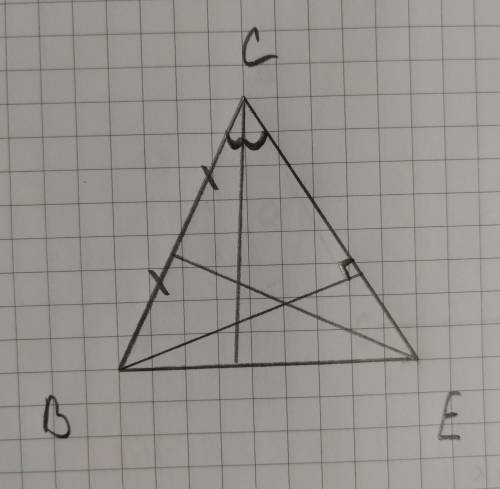 На рисунке с чертежных инструментов проведите: а) медиану треугольника ВСЕ из вершины Е; б) биссектр