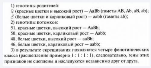 У гороха посевного красная окраска венчика (А) доминирует над белой (а), а высокий рост (В) – над ка