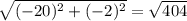 \sqrt{(-20)^2 + (-2)^2} = \sqrt{404}