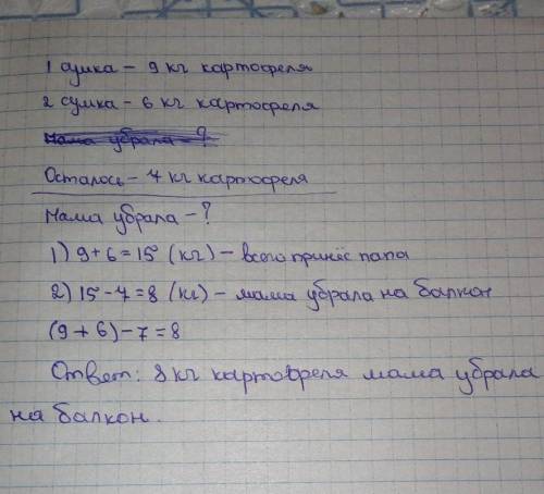 1. Реши задачу. Папа принёс в одной сумке 9 кг, а в дру- гой 6 кг картофеля. Когда мама убрала на ба