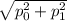 \sqrt{p_0^2+p_1^2}