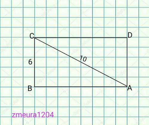 8. Найдите площадь прямоугольника, сторона которого равна 6, а диагональ равна 10.