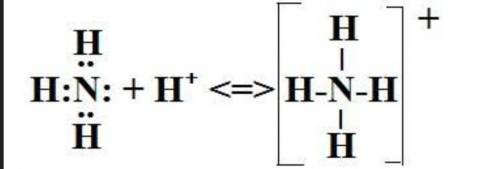 Почему молекула аммиака сочетается с катионом гидрогена?