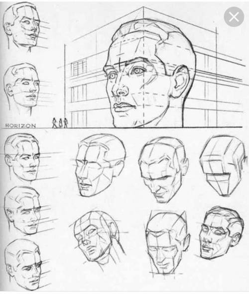 Расскажите последовательность рисовки структуры лица