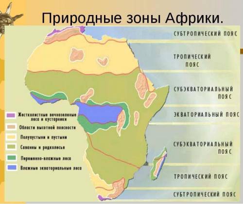 Закономерная смена природных зон Африки к северу ик югу от экватора называется...