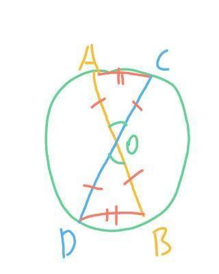 1.AB и СД - диаметры окружности с центром в точке О. Докажите, что хорды АС и ВД равны. Найдите АС,