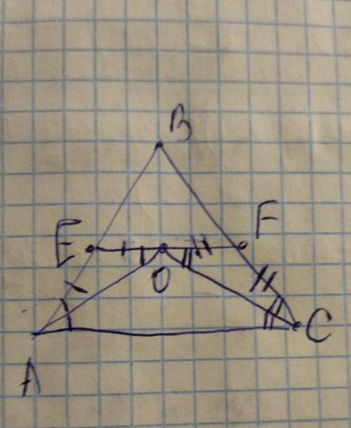Дано : EF||AC, AE= EO, CF=FO доказать : AO и CO -биссектрисы
