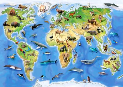 Основные животные на всех матереках Австралия, Южная Америка, Северная Америка, антрактида, Евразия,