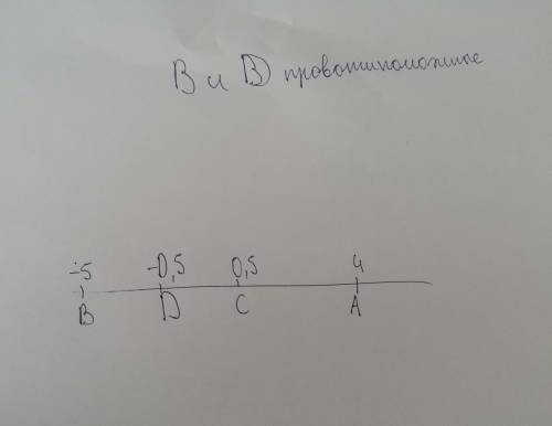 Начертите координатную прямую и отметьте на ней точки A(4) B(-5) C(0,5) D(-0,5).Какие из отмеченных