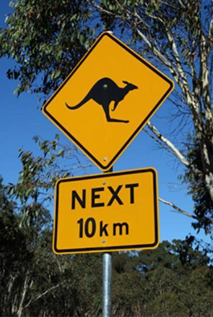 Визначте, який із запропонованих дорожніх знаків можна зу- стріти лише в Австралії.