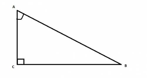 Сумма углов треугольника. Внешний угол треугольника. Урок 3 Дан прямоугольный треугольник ABC, в кот