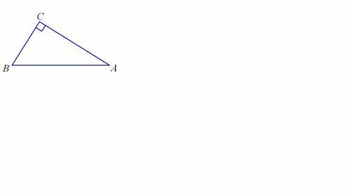 260. Катет треугольника равен 10 м, гипотенуза - 26 м, а площадь 120 квадратных метров. Определите е