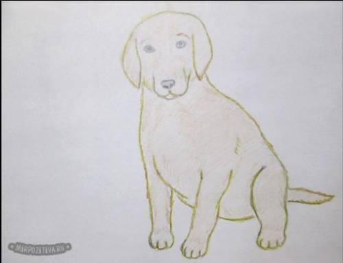 Нарисовать собаку на холме цветными карандашами(без всяких дополнений)