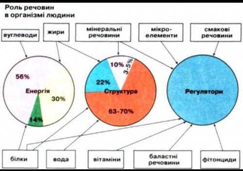 Сделать схему обмена минеральных солей биология 8 класс