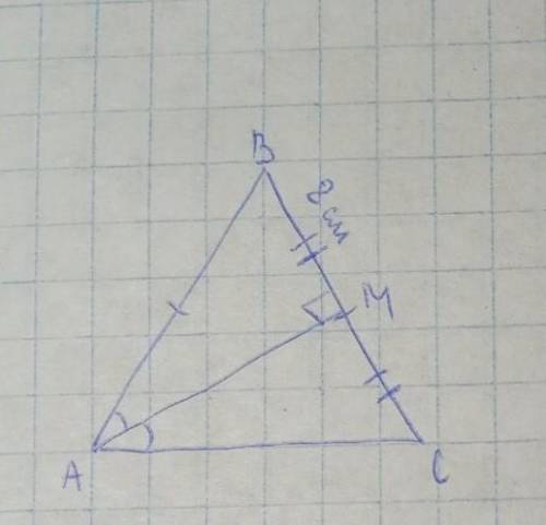в равнобедренном треугольнике ABC с основанием BC проведена медиана BM при этом оказалось что треуго