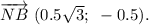 \overrightarrow {NB} ~(0.5\sqrt{3};~-0.5).