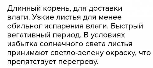 Какими при обладают растения для жизни в степи?