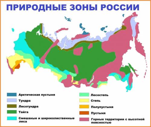 Рассмотри карту природных зон России заранее