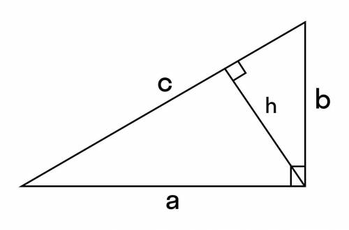 Найдите площадь равнобедренного треугольника со сторонами 20 см ,20см,32см,