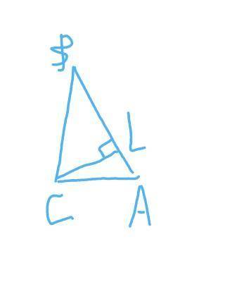 Градусная мера угла В треугольника АВС в два раза меньше чем градусная мера угла С и на 20° меньше ч