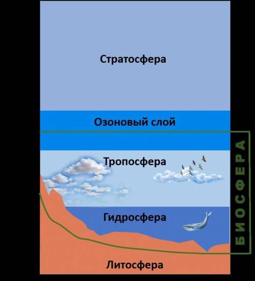 Нарисуйте схему границы биосферы покажите штриховкой область земли в которой существует жизнь !