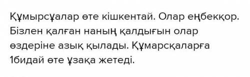 Составтьте текст про муравьёв на казахском языке 5-6 предложений