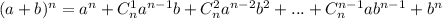 (a+b)^{n}=a^{n}+C_{n}^1a^{n-1}b+C_{n}^2a^{n-2}b^2+...+C_{n}^{n-1}ab^{n-1}+b^{n}