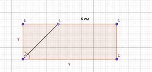 6. Бісектриса кута прямокутника ділить його сторону на два відрізки. Один із вiдрiзкiв, який не є ст