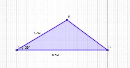 Дві сторони трикутника довжиною 5 см і 8 см утворюють кут 30°. Знайти площу трикутника