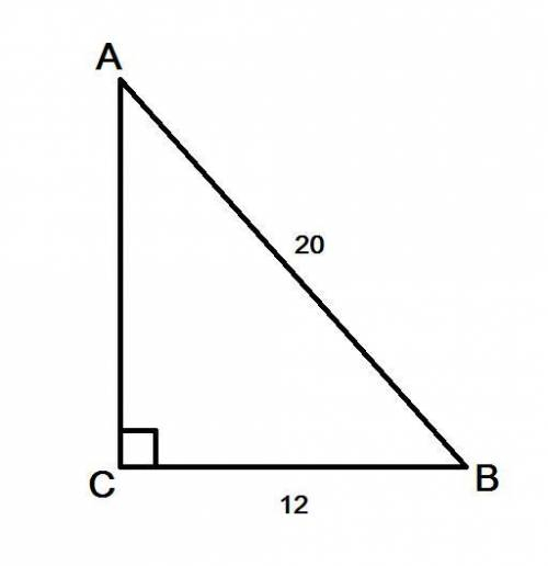 В прямокутному трикутнику ABC, кут C 90 ° , AB = 20 см , ВС = 12 см . Знайдіть АС
