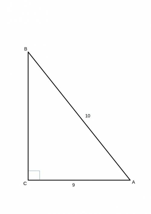 У трикутнику ABC кут C = 90°, AC = 9см, AB = 10см Знайти косинус кута А.
