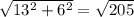 \sqrt{13^{2}+6^{2} } =\sqrt{205}