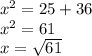 {x}^{2} = 25 + 36 \\ {x}^{2} = 61 \\ x = \sqrt{61}