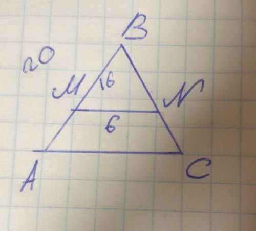 В треугольнике ABC отрезок MN параллелен АС. Найди АС. если AB = 20 см. MB = 16 см. MN = 6 см.