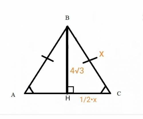 Медиана равностороннего треугольника = 4 корня из 3. Найти периметр треугольника.
