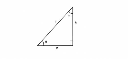 Решите прямоугольный треугольник