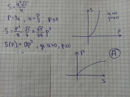 Укажіть графік, який МОЖЕ бути графіком залежності S=f(P) площі правильного трикутника від його пери