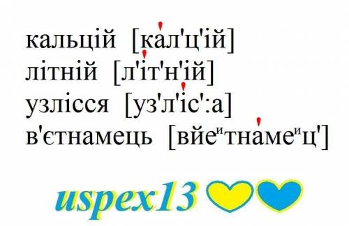 Будь ласка , якомога швидше транскрипція слівкальцій літній узлісся в'єтнамець