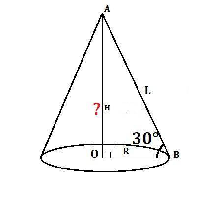 Довжина кола основи конуса дорівнює 36π, твірна нахилена до площини основи під кутом 30 градусів. Зн