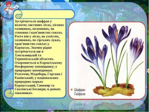 Підготувати міні - проєкти (не менше 10 слайдів) Природоохоронний об'єкт України, Червона книга У