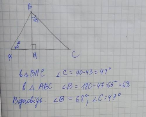5. Знайди всі невідомі кути трикутника АВС. Якщо < BAC = 65°, < HBC = 43°, ВН-перпендикулярна